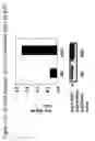 Fig. 22 - Detection Of Rho Proteins