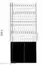 Fig. 03 - Primer set and probe for detection of human papillomavirus