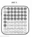 Fig. 04 - Primer set and probe for detection of human papillomavirus