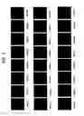 Fig. 05 - Primer set and probe for detection of human papillomavirus
