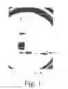 Fig. 02 - Bacteriocins and novel bacterial strains