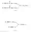 Fig. 02 - PEG modified exendin or exendin analog and compositions and use thereof