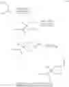 Fig. 99 - PROTECTED NUCLEOTIDE ANALOGS
