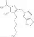 Fig. 13 - COMPOUNDS AS HSP90 INHIBITORS
