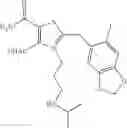 Fig. 19 - COMPOUNDS AS HSP90 INHIBITORS