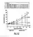 Fig. 07 - METHODS OF TREATING CELL PROLIFERATIVE DISORDERS USING A COMPRESSED TEMOZOLOMIDE DOSING SCHEDULE