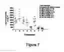 Fig. 09 - METHODS OF TREATING CELL PROLIFERATIVE DISORDERS USING A COMPRESSED TEMOZOLOMIDE DOSING SCHEDULE