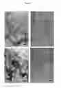 Fig. 07 - Compositions for treating amyloid associated diseases