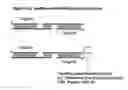 Fig. 131 - RNA Interference Mediated Inhibition of Gene Expression Using Chemically Modified Short Interfering Nucleic Acid (siNA)