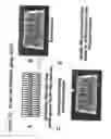 Fig. 22 - RNA Interference Mediated Inhibition of Gene Expression Using Chemically Modified Short Interfering Nucleic Acid (siNA)