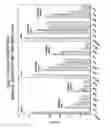 Fig. 32 - RNA Interference Mediated Inhibition of Gene Expression Using Chemically Modified Short Interfering Nucleic Acid (siNA)