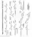Fig. 43 - RNA Interference Mediated Inhibition of Gene Expression Using Chemically Modified Short Interfering Nucleic Acid (siNA)