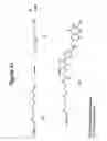 Fig. 44 - RNA Interference Mediated Inhibition of Gene Expression Using Chemically Modified Short Interfering Nucleic Acid (siNA)