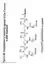 Fig. 49 - RNA Interference Mediated Inhibition of Gene Expression Using Chemically Modified Short Interfering Nucleic Acid (siNA)