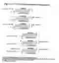 Fig. 64 - RNA Interference Mediated Inhibition of Gene Expression Using Chemically Modified Short Interfering Nucleic Acid (siNA)