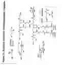 Fig. 72 - RNA Interference Mediated Inhibition of Gene Expression Using Chemically Modified Short Interfering Nucleic Acid (siNA)