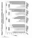 Fig. 80 - RNA Interference Mediated Inhibition of Gene Expression Using Chemically Modified Short Interfering Nucleic Acid (siNA)