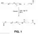 Fig. 02 - Process of preparing functionalized polymers via enzymatic catalysis