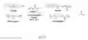Fig. 07 - Process of preparing functionalized polymers via enzymatic catalysis