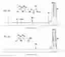 Fig. 08 - Process of preparing functionalized polymers via enzymatic catalysis