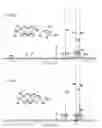 Fig. 09 - Process of preparing functionalized polymers via enzymatic catalysis
