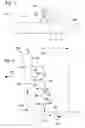 Fig. 02 - PURGING DEVICES FOR USE IN POLYMERIZATION PROCESSES