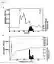 Fig. 02 - Modified ghrelin peptides