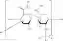 Fig. 02 - Fluorescent saccharide conjugates