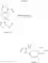 Fig. 07 - PROCESSES FOR THE PREPARATION OF N-(2-ACETYL-4,6-DIMETHYLPHENYL)-3--2-THIOPHENECARBOXAMIDE