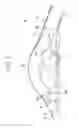 Fig. 06 - Endoscopy method and endoscope