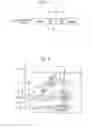 Fig. 07 - Endoscope system, endoscope video processor and method of driving endoscope system
