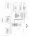Fig. 02 - Database application including spilt views