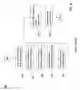 Fig. 07 - Hybrid Storage Device
