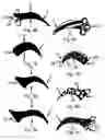 Fig. 04 - Decorative eyelid covering and process