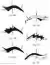 Fig. 05 - Decorative eyelid covering and process