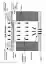 Fig. 18 - Shear stress sensors