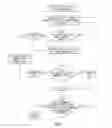 Fig. 02 - Method of training a dog to chew acceptable objects through scent marking and chemical composition thereof