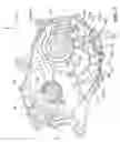Fig. 08 - Lubricating structure for an internal combustion engine