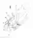 Fig. 06 - RESTRAINT