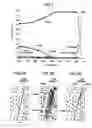 Fig. 02 - Ni-base alloy and method of producing the same