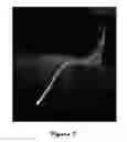 Fig. 08 - Continuous geomechanically stable wellbore trajectories