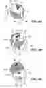 Fig. 08 - ELECTROMECHANICALLY COUNTERBALANCED HUMANOID ROBOTIC SYSTEM