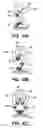 Fig. 09 - ELECTROMECHANICALLY COUNTERBALANCED HUMANOID ROBOTIC SYSTEM