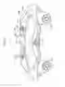 Fig. 09 - DISC BRAKE APPARATUS