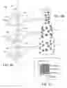 Fig. 10 - Direct optical interrogation of agents in micro-fluidic channels utilizing whispering gallery resonator approach