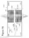 Fig. 35 - DEVICES AND METHODS FOR ANALYZING BIOMOLECULES AND PROBES BOUND THERETO