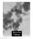 Fig. 01 - Process for producing a nanoscale zero-valent metal