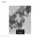 Fig. 02 - Process for producing a nanoscale zero-valent metal
