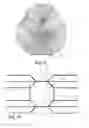 Fig. 10 - ONE PIECE REEL MADE BY FOLDING OF A PLANAR SHEET