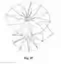Fig. 19 - ONE PIECE REEL MADE BY FOLDING OF A PLANAR SHEET